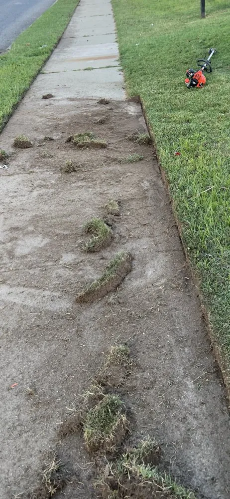 Top-rated landscape design for outdoor upgrades in Vineland, NJ by JDR Prestige Landscaping