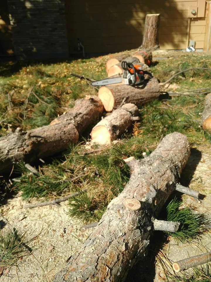 Affordable outdoor landscaping in Parker, CO - JDR Professional Services