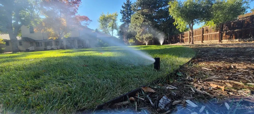 Custom landscape installation experts serving Parker, CO - JDR Professional Services