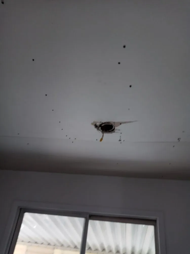 Custom garden landscaping experts serving Albuquerque, NM - J&D'S Construction