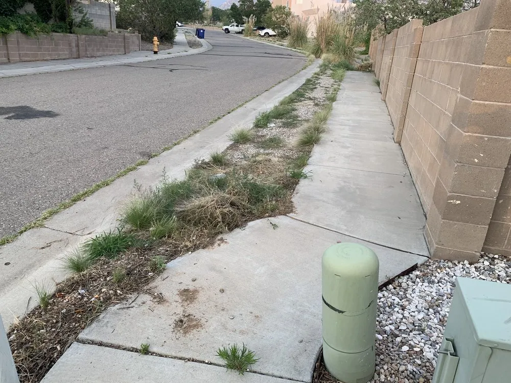 Reliable lawn mowing service with custom design in Albuquerque, NM by J&D'S Construction