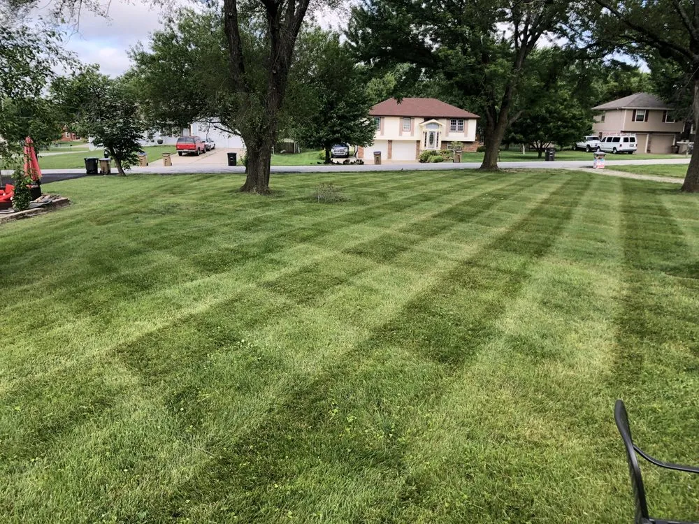 Custom yard cleanup service experts serving Clinton, MO - JD's Custom Mowing & Snow Removal