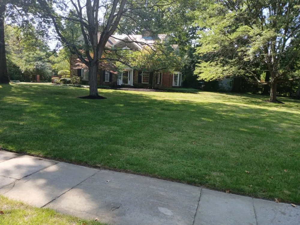 Reliable landscaping services experts serving Warrensville Heights, OH - JDS Cut N Edge Landscaping