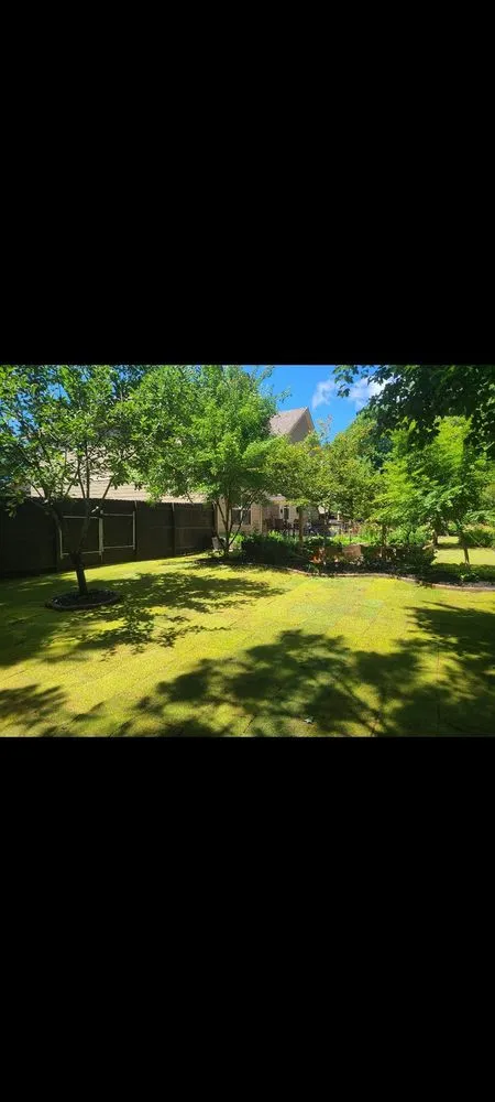 Expert landscape design near you across Jasper, GA - JDS Landscape Group