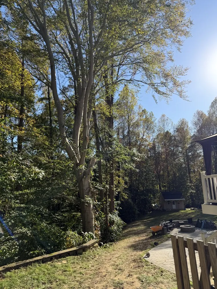 Local lawn mowing service for residential properties across Prince Frederick, MD - JD's Landscaping & Junk Trash Removal