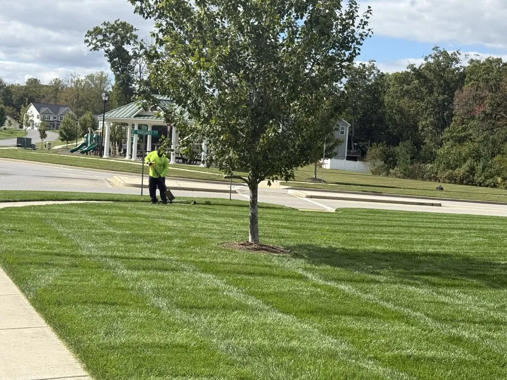 Local landscaping services for beautiful yards in Prince Frederick, MD by JD's Landscaping & Junk Trash Removal