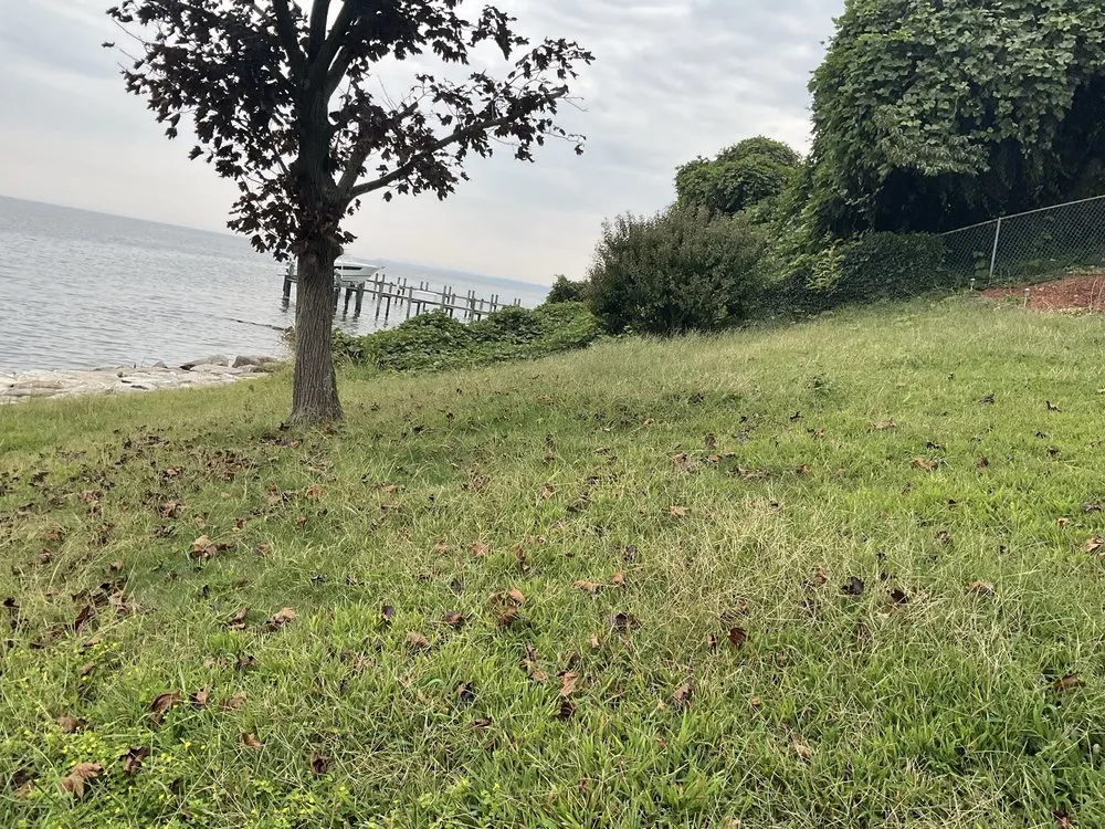 Reliable landscape installation in Prince Frederick, MD by JD's Landscaping & Junk Trash Removal