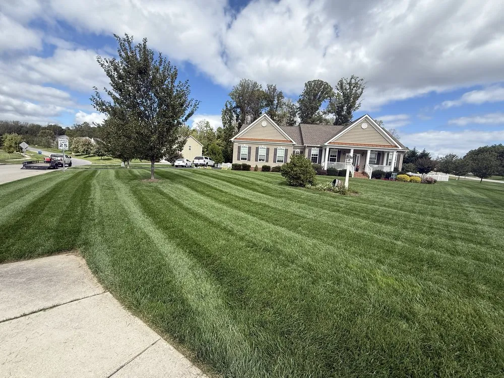 Affordable yard cleanup service in Prince Frederick, MD by JD's Landscaping & Junk Trash Removal