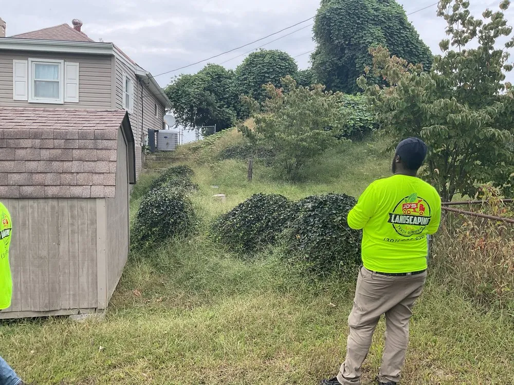 Top-rated lawn care service for beautiful yards in Prince Frederick, MD by JD's Landscaping & Junk Trash Removal