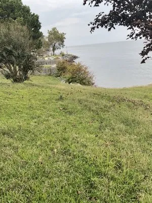 JD's Landscaping & Junk Trash Removal