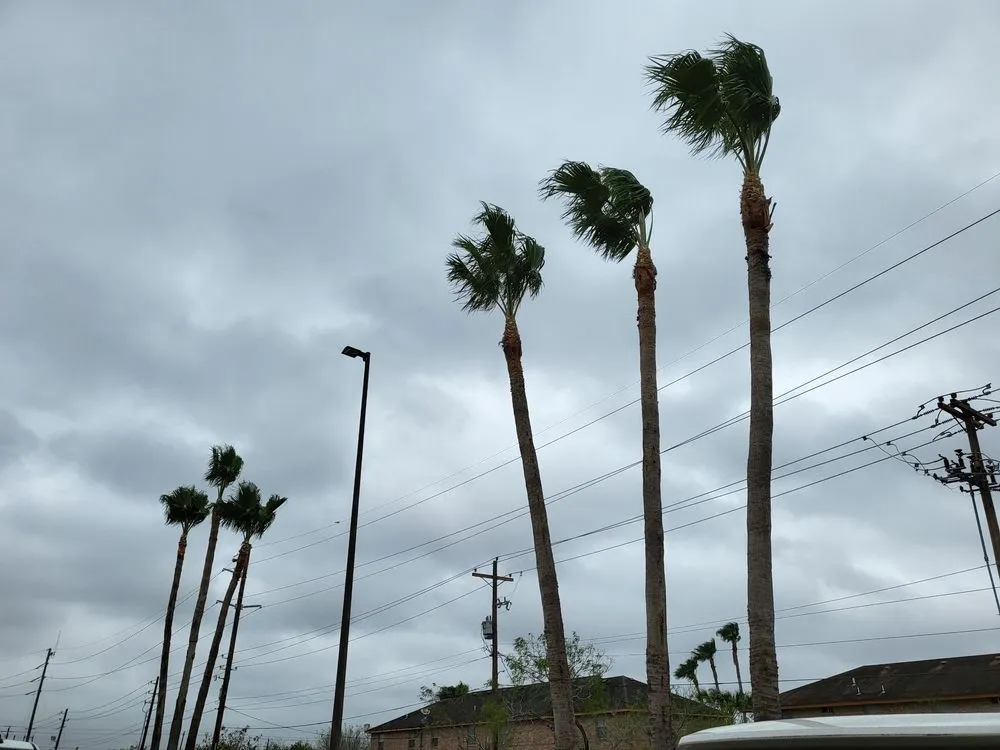 Local landscaping services near you in Edinburg, TX by JD’s Landscaping & Lawn Maintenance