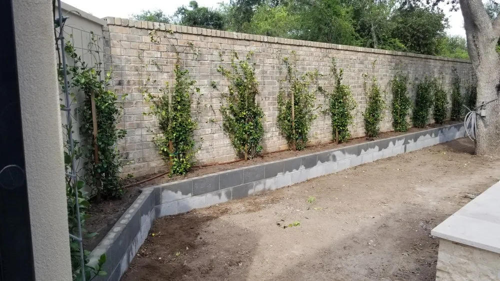 Top-rated landscaping services for homes in Edinburg, TX by JD’s Landscaping & Lawn Maintenance