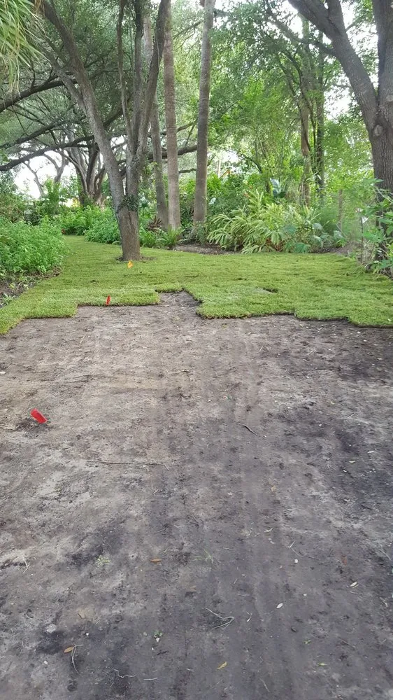 Expert residential landscaping for year-round maintenance in Edinburg, TX by JD’s Landscaping & Lawn Maintenance