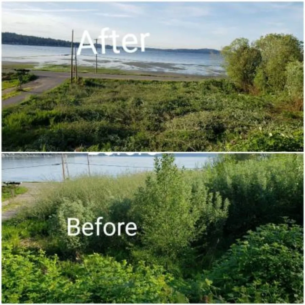 Custom residential landscaping experts serving Bremerton, WA - JD's Landscaping