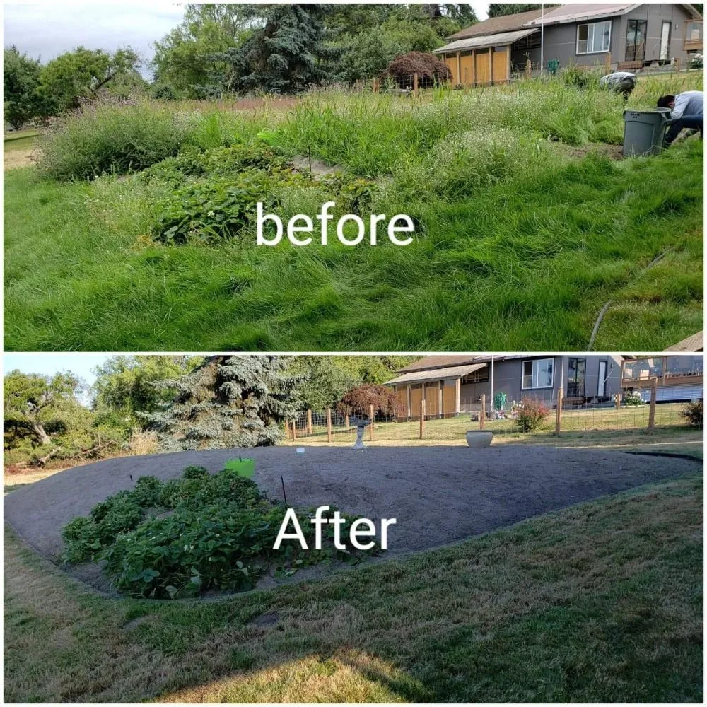 Top-rated lawn mowing service for year-round maintenance in Bremerton, WA by JD's Landscaping