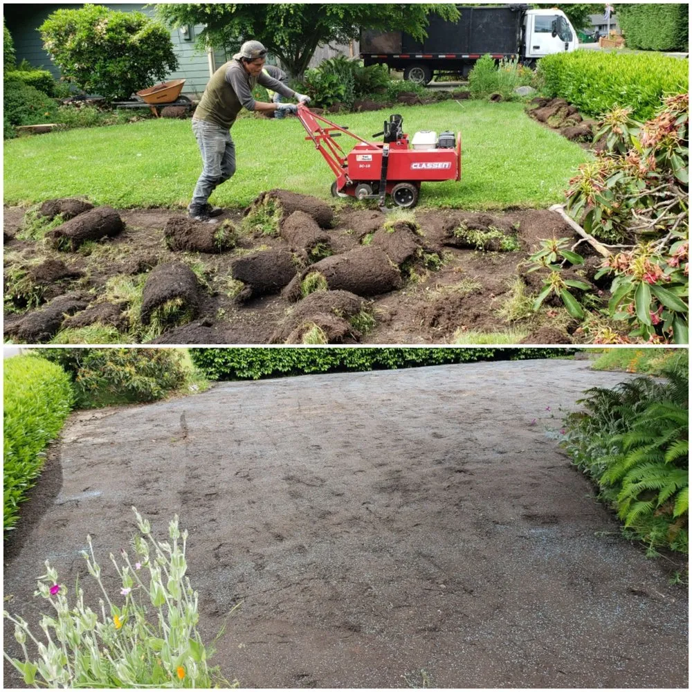 Local yard cleanup service in Bremerton, WA - JD's Landscaping