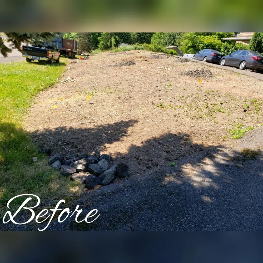 Reliable yard maintenance experts serving Bremerton, WA - JD's Landscaping