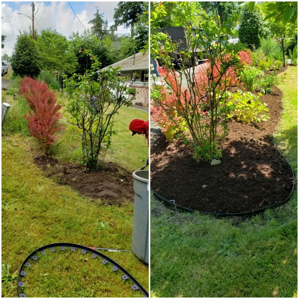 Local lawn care service for outdoor upgrades across Bremerton, WA - JD's Landscaping