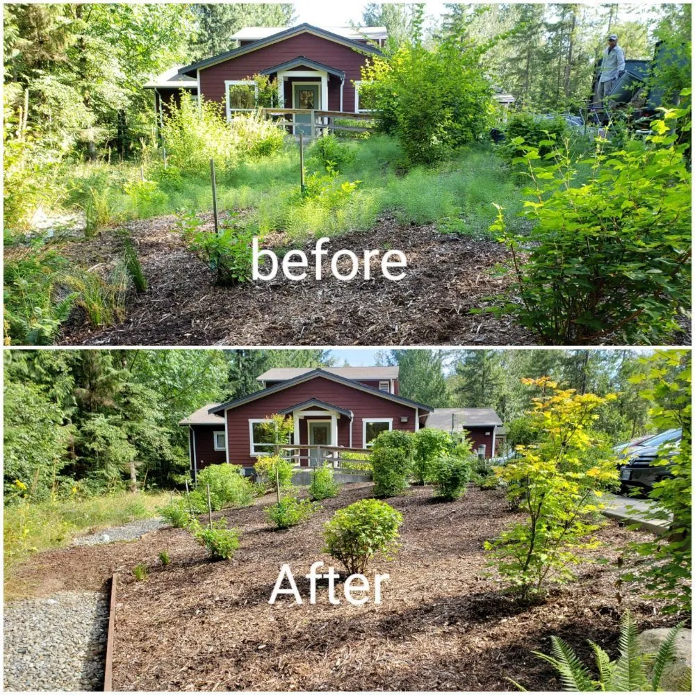 Affordable garden landscaping for year-round maintenance across Bremerton, WA - JD's Landscaping