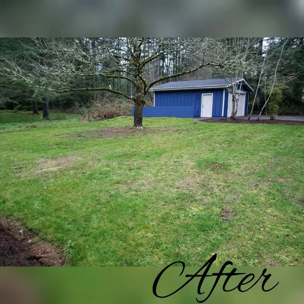 Trusted residential landscaping near you in Bremerton, WA by JD's Landscaping