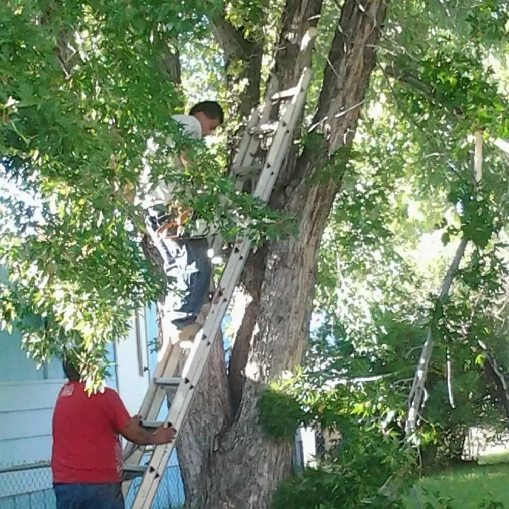 Local landscaping services for outdoor upgrades in Trinidad, CO by JD's Landscaping Etc