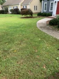 Affordable lawn mowing service experts serving Columbia, SC - JDS Landscaping Plus