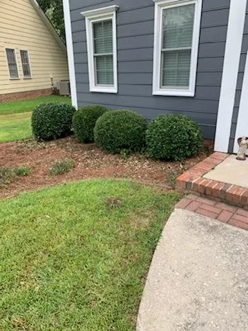 Trusted lawn care service for outdoor upgrades in Columbia, SC by JDS Landscaping Plus