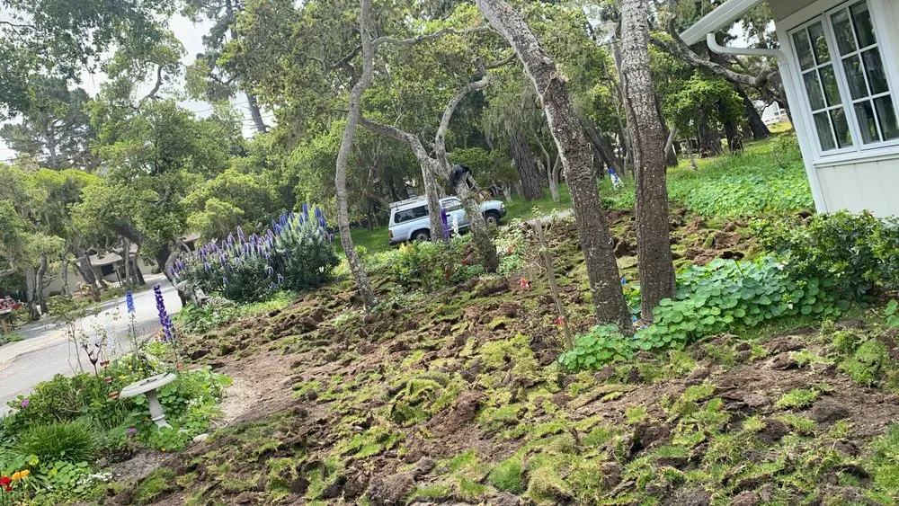 Professional outdoor landscaping in Seaside, CA - JD’s landscaping