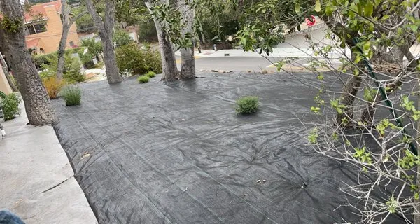 JD’s landscaping Logo