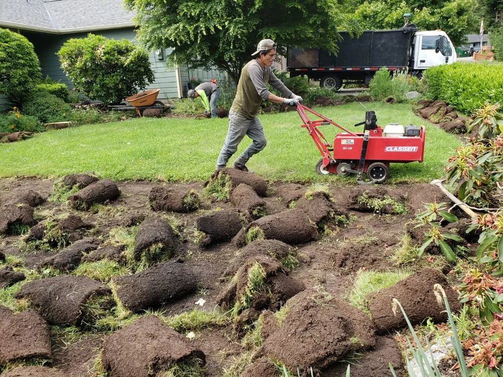 Reliable lawn care service experts serving Bremerton, WA - JD's Landscaping Services