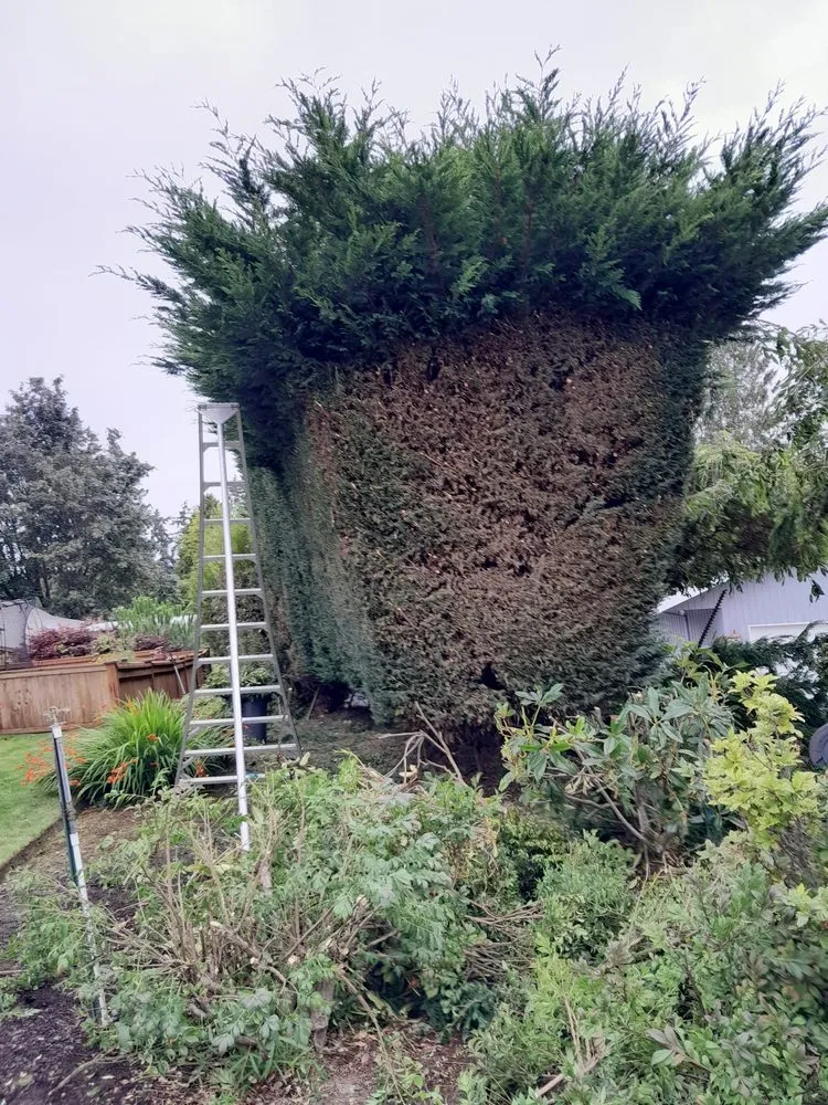 Expert garden landscaping in Bremerton, WA - JD's Landscaping Services