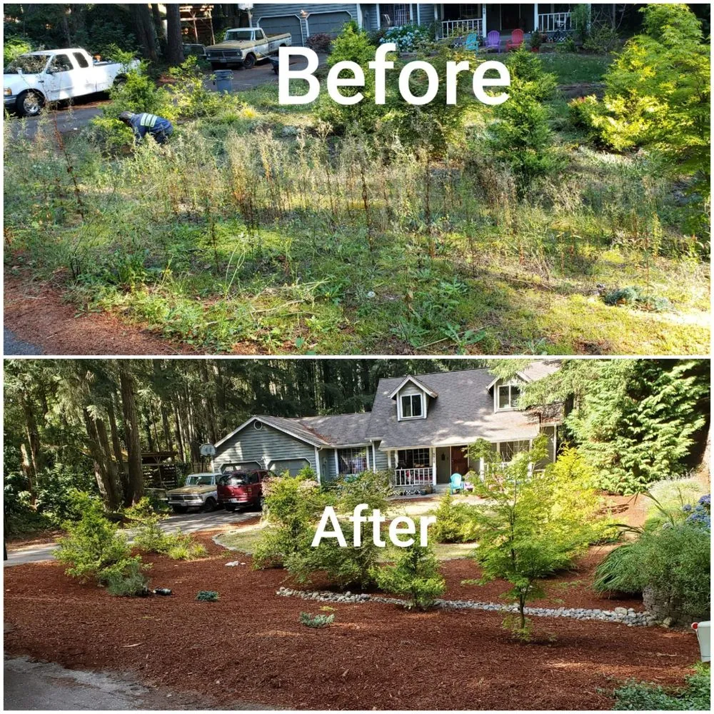 Reliable yard cleanup service for outdoor upgrades across Bremerton, WA - JD's Landscaping Services