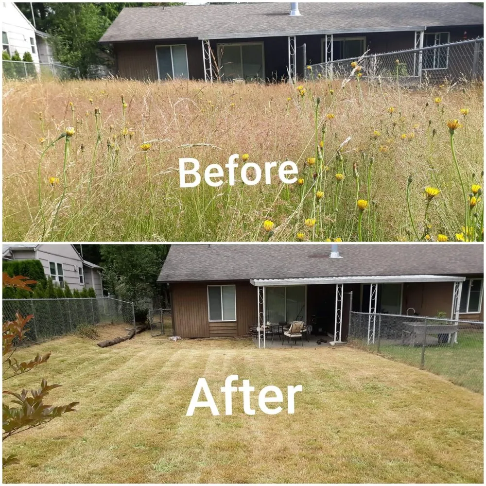 Professional landscape installation in Bremerton, WA by JD's Landscaping Services