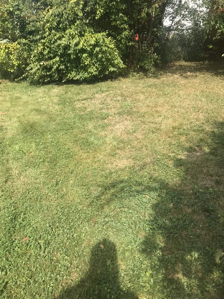 Professional landscape installation with custom design across Pennsauken Township, NJ - JD's Lawn & Gutters