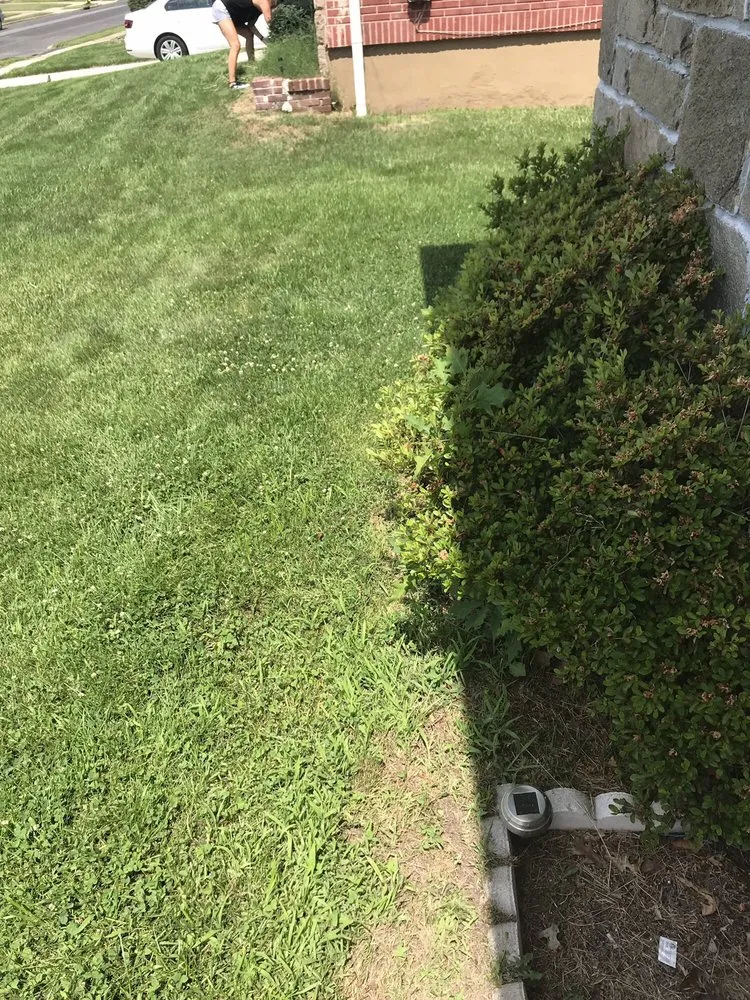 Top-rated lawn care service in Pennsauken Township, NJ by JD's Lawn & Gutters