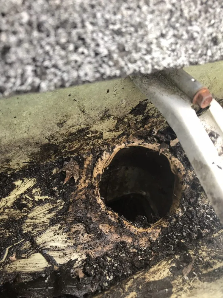 Trusted garden landscaping for beautiful yards across Pennsauken Township, NJ - JD's Lawn & Gutters