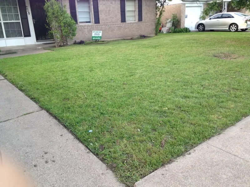 Custom landscape installation for residential properties across Dallas, TX - JD's Lawn Care