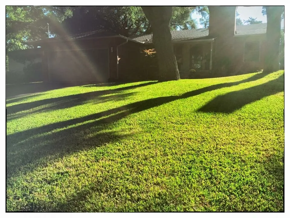 Professional outdoor landscaping in Dallas, TX - JD's Lawn Care