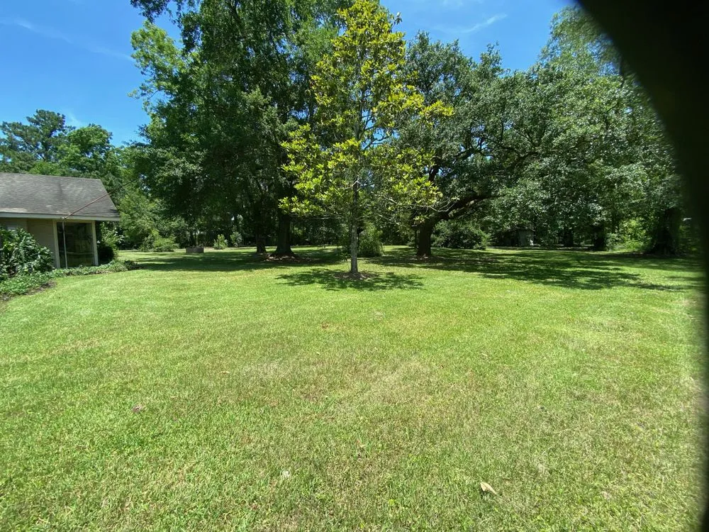 Top-rated lawn care service in Picayune, MS by JD'S Lawn Care Service