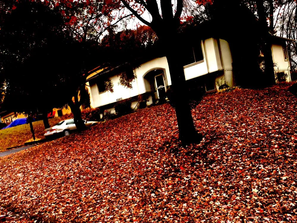 Affordable landscape design for residential properties in Minneapolis, MN by JDs Lawn Service and Home Improvement