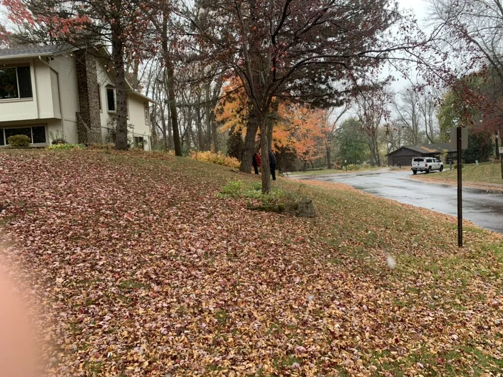 Top-rated landscape design for outdoor upgrades in Minneapolis, MN by JDs Lawn Service and Home Improvement