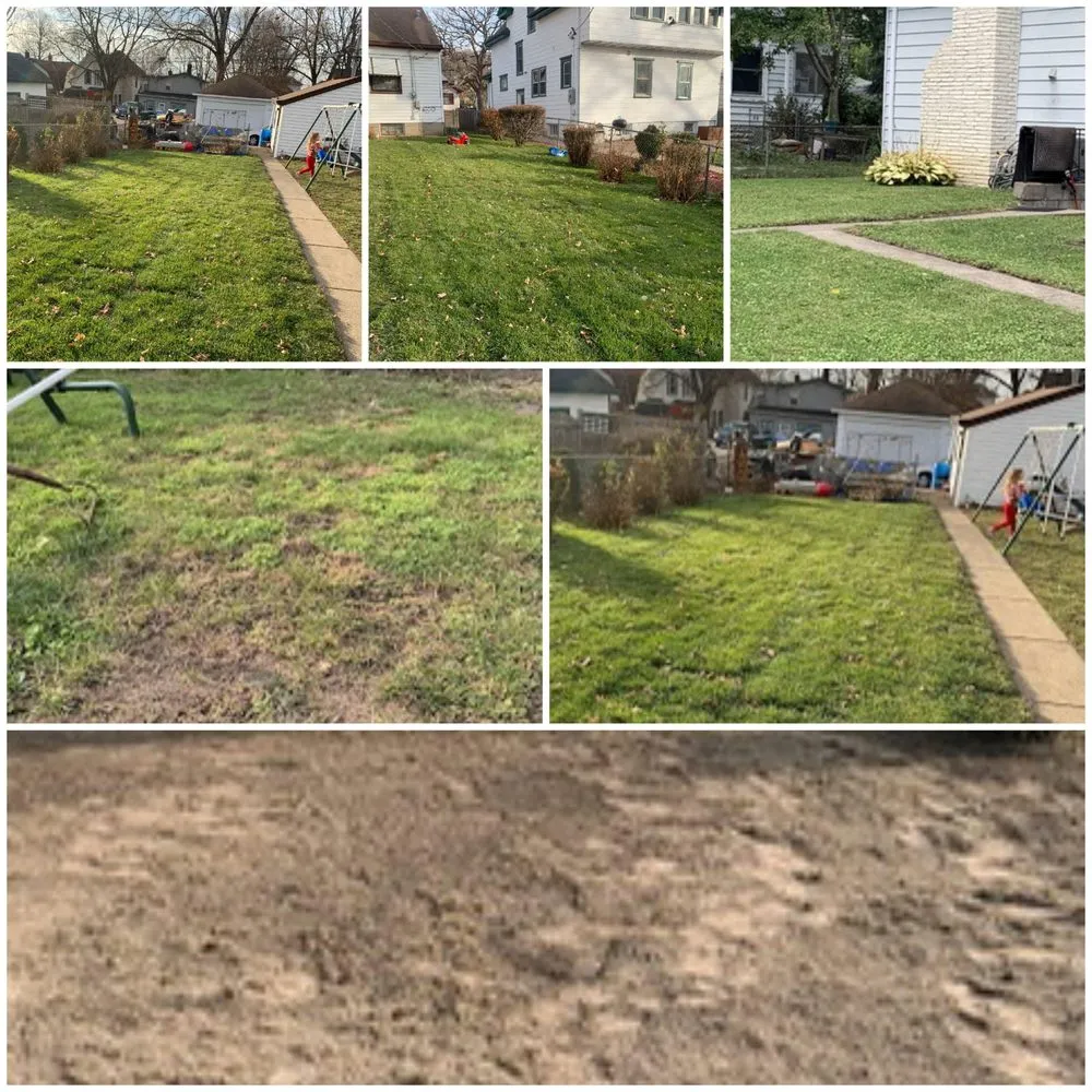 Expert yard maintenance for year-round maintenance in Minneapolis, MN by JDs Lawn Service and Home Improvement