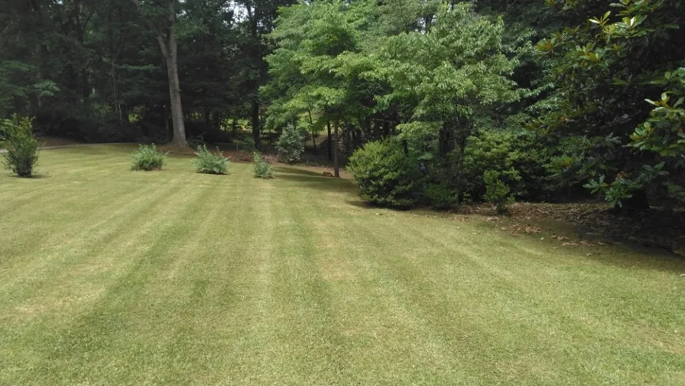 Trusted landscape installation for outdoor upgrades across Tallulah Falls, GA - JDS Lawncare And Maintenance