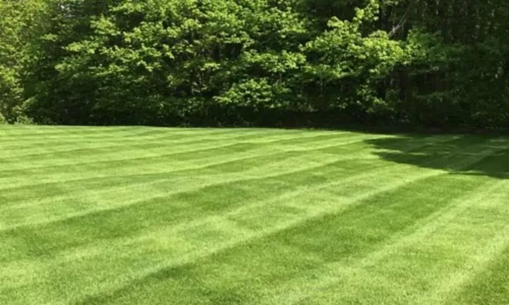 Top-rated landscaping services experts serving Ashtabula, OH - JDS Lawncare