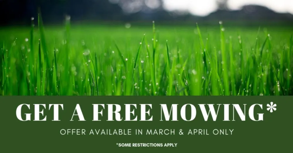 Reliable lawn mowing service in NEW PRT RCHY, FL by JDS Property Maintenance