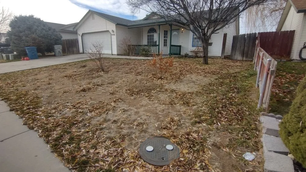 Trusted residential landscaping experts serving green leaf, ID - JD's Services