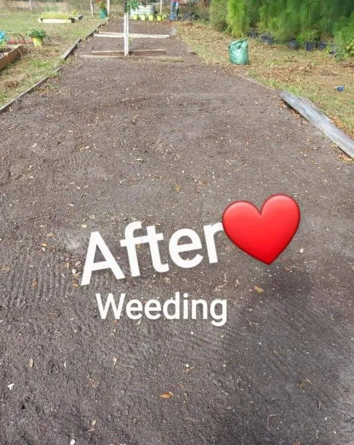 Trusted landscaping services for beautiful yards in Leesburg, FL by Jd's Services