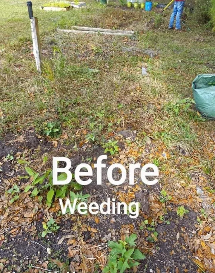 Trusted yard maintenance in Leesburg, FL by Jd's Services