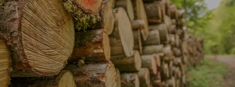 Top-rated garden landscaping in Niles, MI - JD's Tree And More