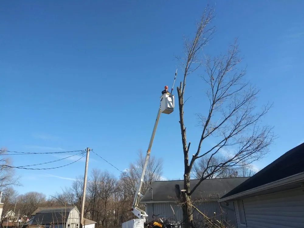 Affordable outdoor landscaping with custom design across Niles, MI - JD's Tree And More